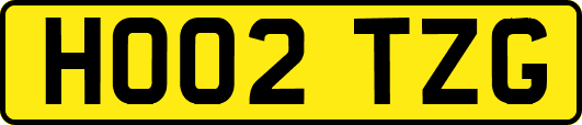 HO02TZG