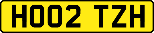 HO02TZH