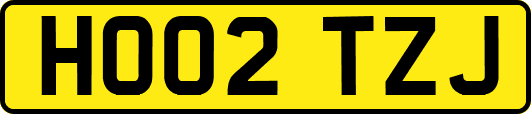 HO02TZJ