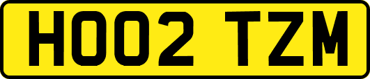 HO02TZM