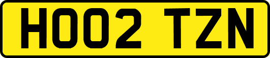 HO02TZN