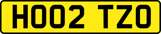 HO02TZO
