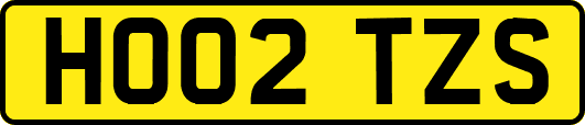 HO02TZS