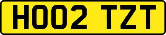 HO02TZT