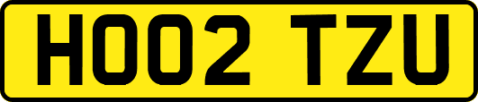 HO02TZU