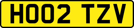 HO02TZV