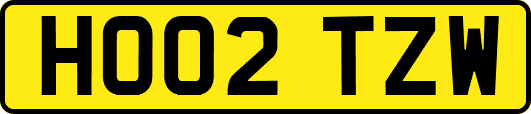 HO02TZW
