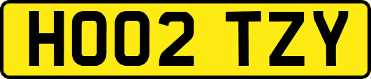 HO02TZY