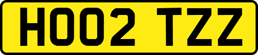 HO02TZZ