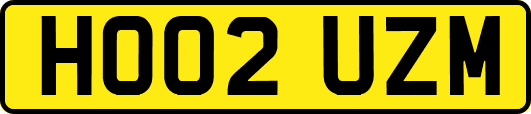 HO02UZM