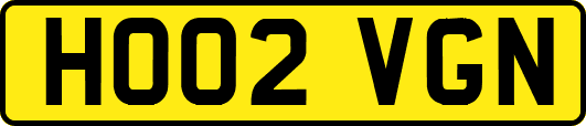 HO02VGN