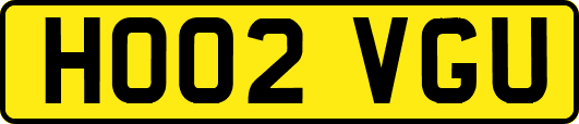 HO02VGU