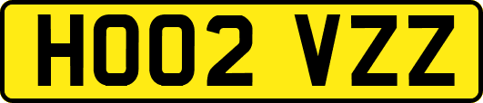 HO02VZZ