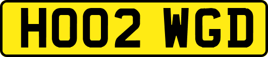 HO02WGD