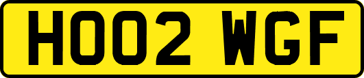 HO02WGF
