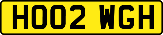 HO02WGH