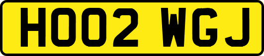 HO02WGJ