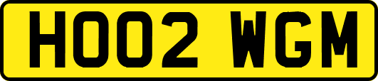 HO02WGM