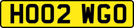 HO02WGO