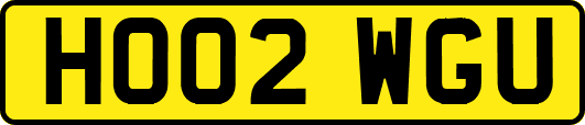 HO02WGU