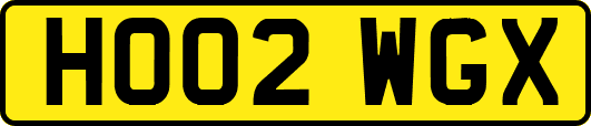 HO02WGX