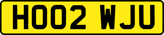 HO02WJU