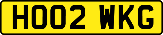 HO02WKG