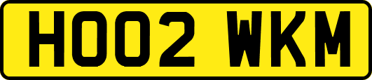 HO02WKM