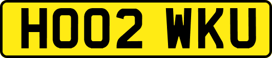 HO02WKU