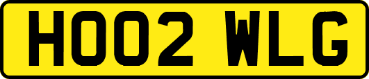 HO02WLG