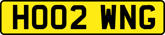 HO02WNG
