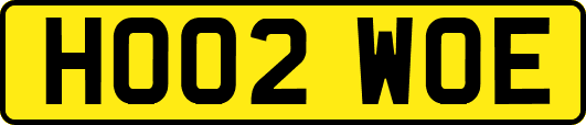 HO02WOE