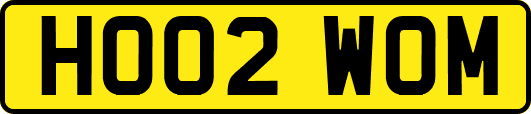 HO02WOM
