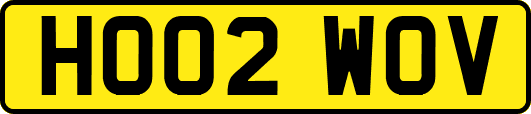 HO02WOV