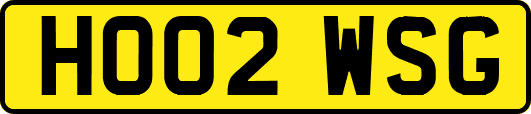 HO02WSG