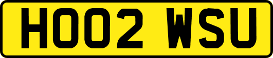 HO02WSU