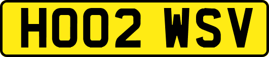 HO02WSV