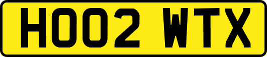 HO02WTX