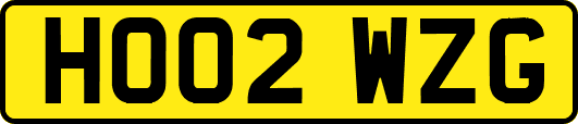HO02WZG