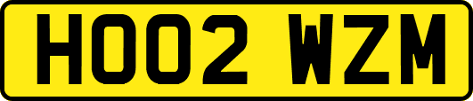 HO02WZM