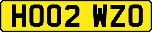 HO02WZO