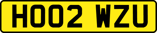HO02WZU