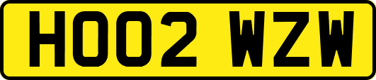 HO02WZW