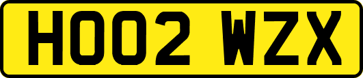 HO02WZX