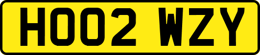 HO02WZY