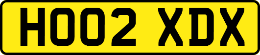 HO02XDX