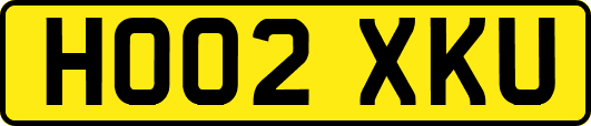 HO02XKU