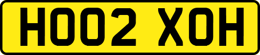 HO02XOH