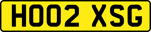HO02XSG