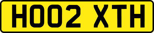 HO02XTH